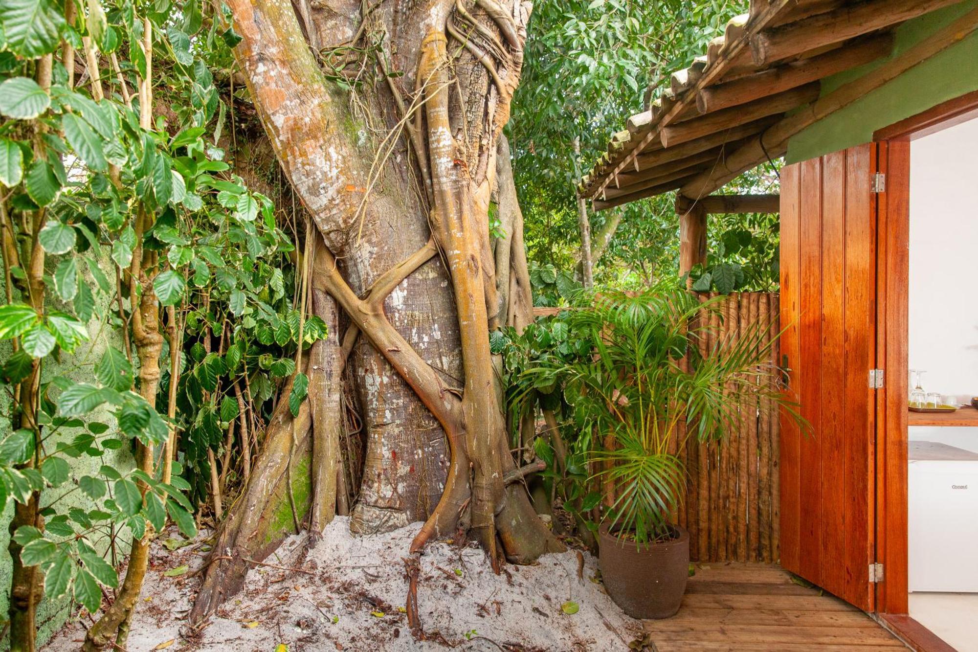 Pousada Mangue Sereno Caraíva Exterior photo